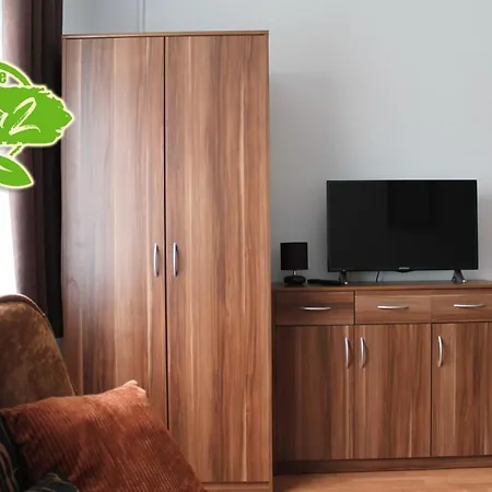 Zielna 2 * 斯蒂格纳