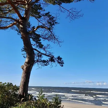 Zielna 2 公寓 斯蒂格纳