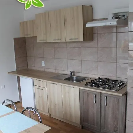 Zielna 2 * 斯蒂格纳