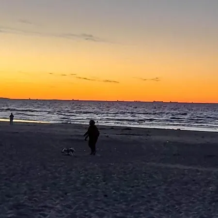 Zielna 2 斯蒂格纳