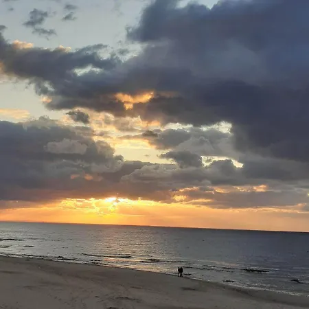 Zielna 2 斯蒂格纳