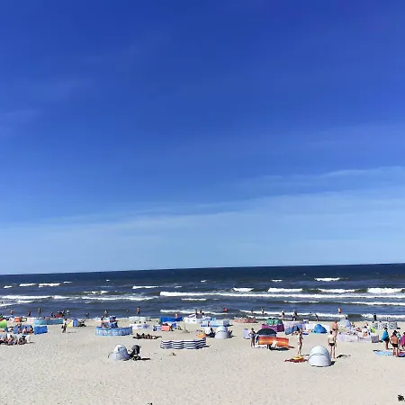 Zielna 2 斯蒂格纳