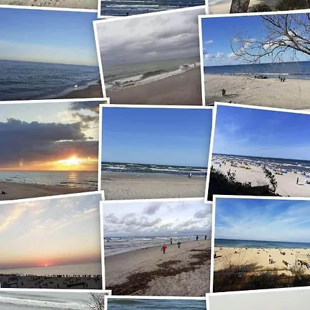 Zielna 2 斯蒂格纳