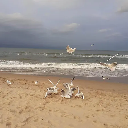 Zielna 2 公寓 斯蒂格纳