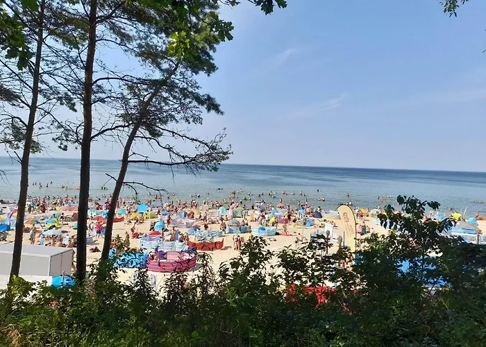 Zielna 2 Apartamento Stegna (Pomerania)