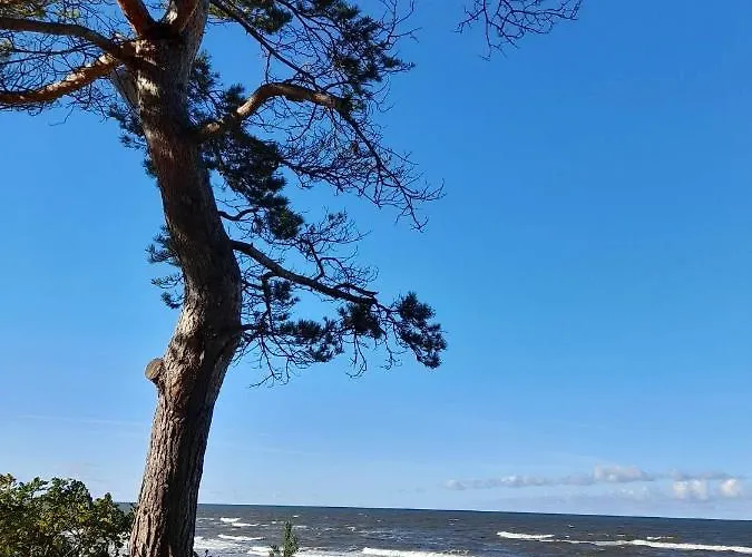 Zielna 2 Apartamento Stegna (Pomerania)