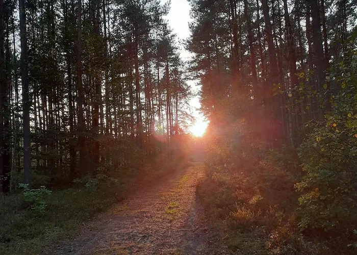 Zielna 2 Apartamento *