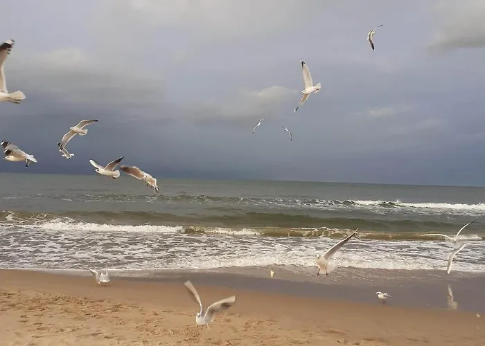 Apartamento Zielna 2 *