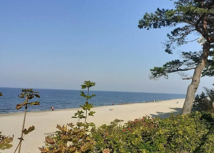 Apartamento Zielna 2