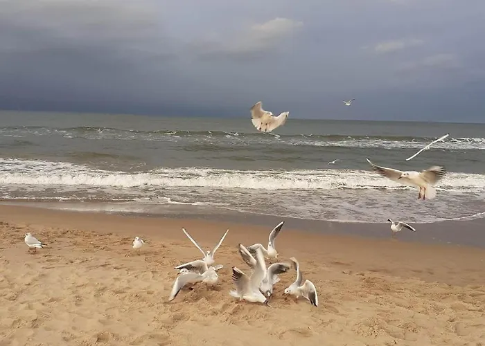 Zielna 2 Apartamento Stegna (Pomerania)